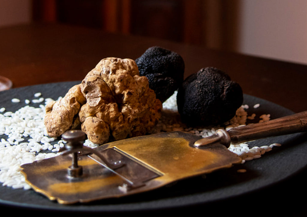 White Truffle vs. Black Truffle